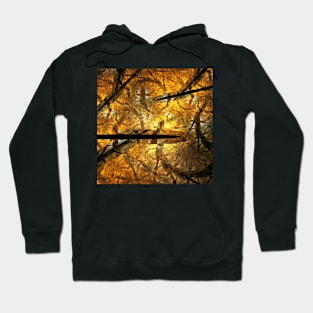 Phantom garden Hoodie